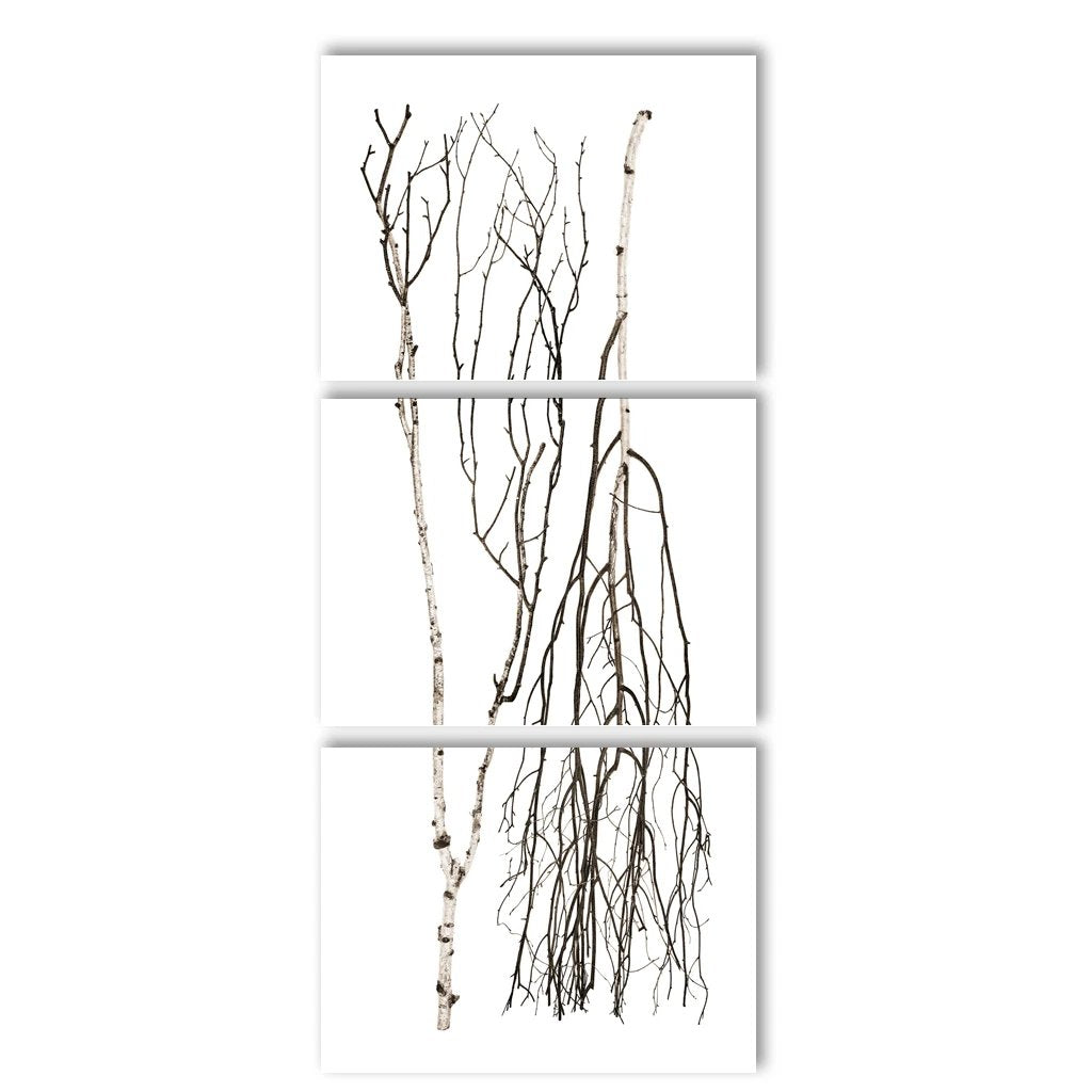 Two Birches Trilogy