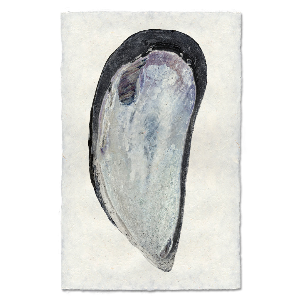 Mussel #2