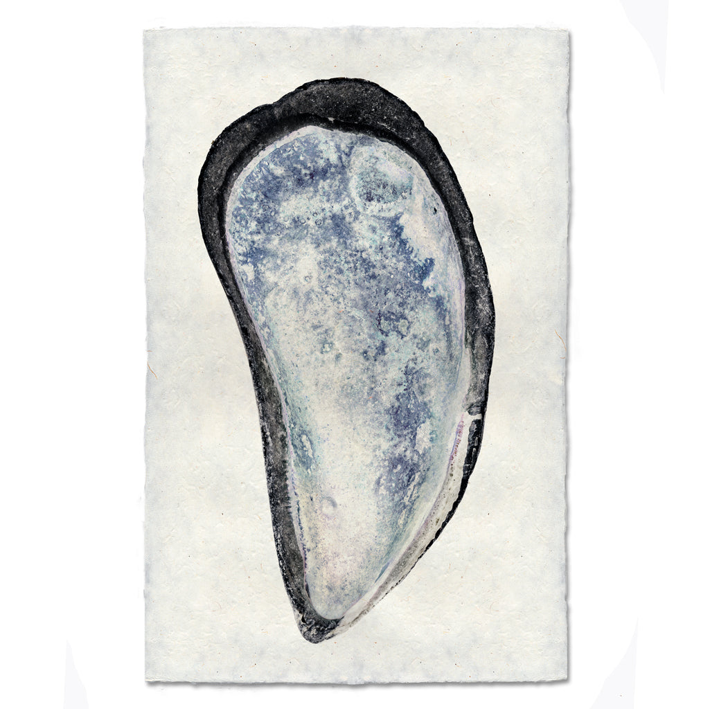 Mussel #3