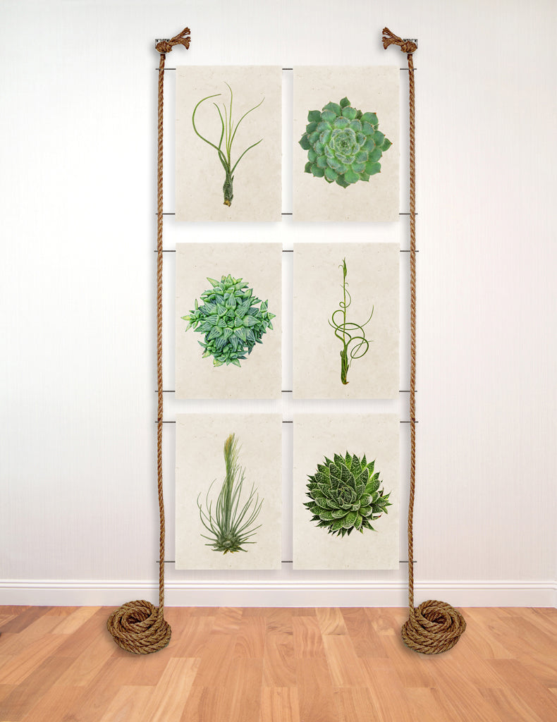 6 print rope and steel display – printstockist.com