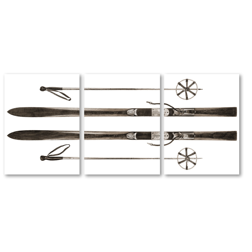 Alpine Skis Trilogy