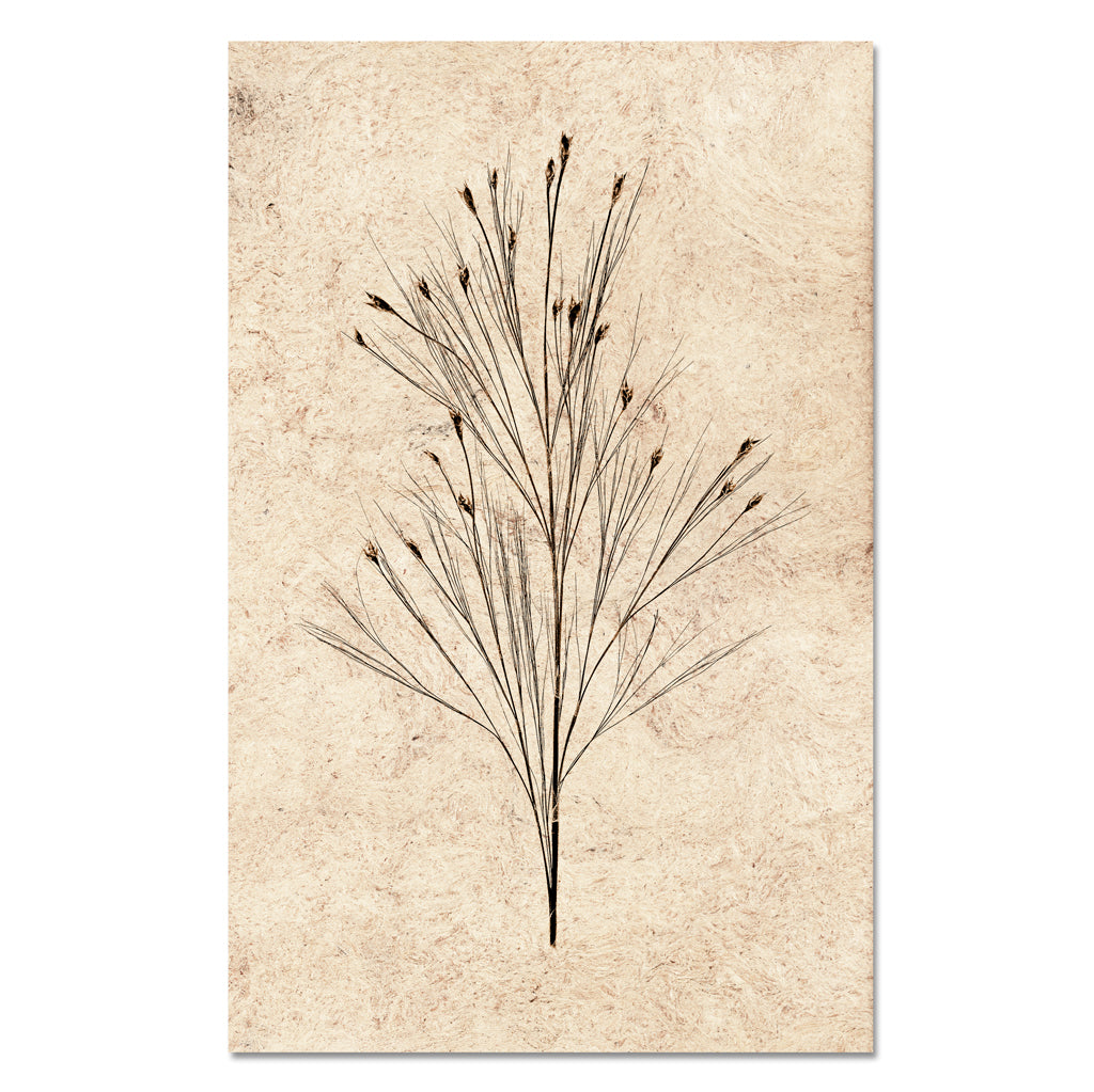 Bell Reed Form