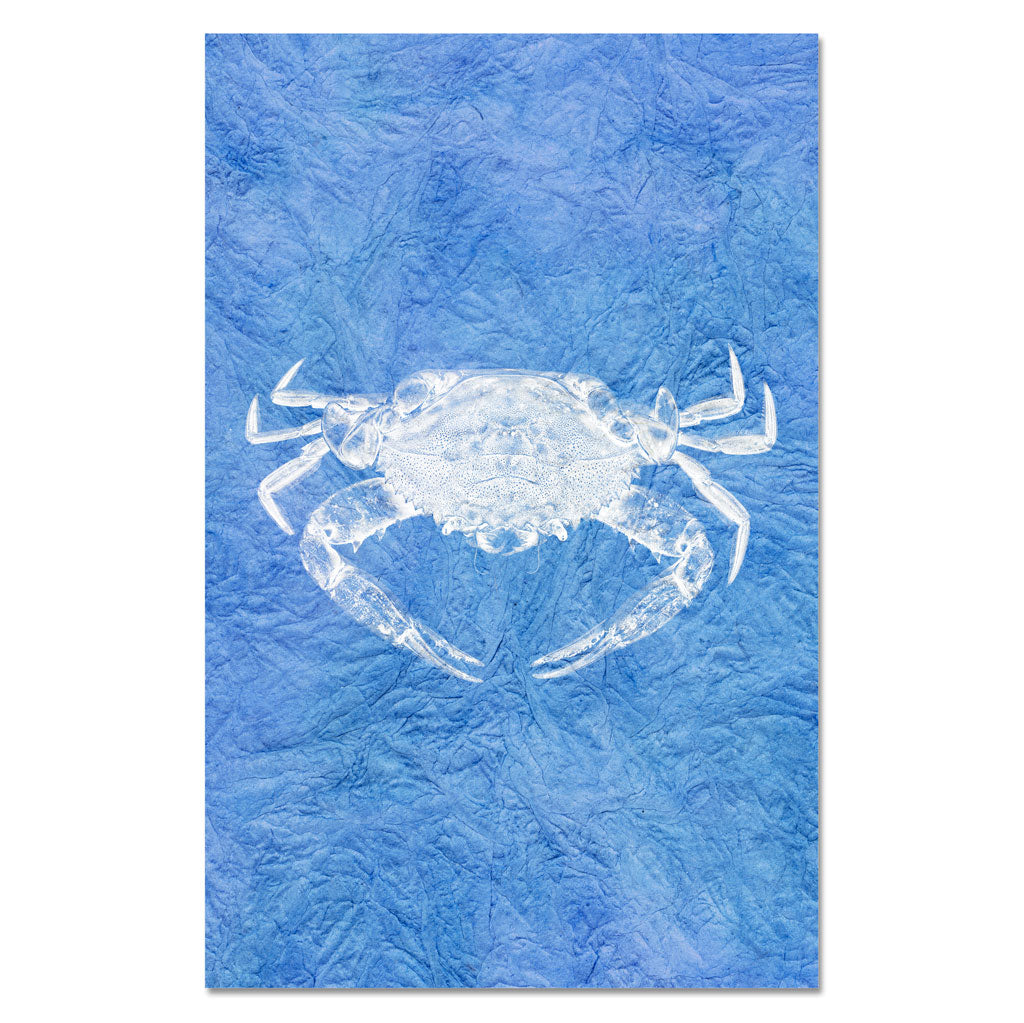Crab