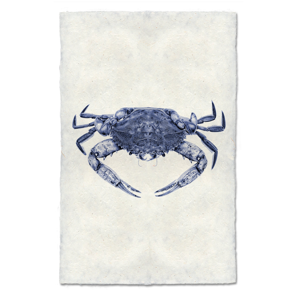 Blue Crab