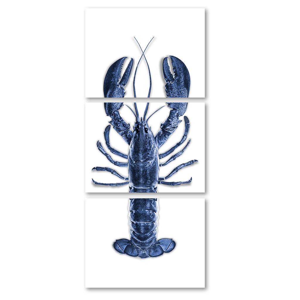 Maine Lobster (Blue)