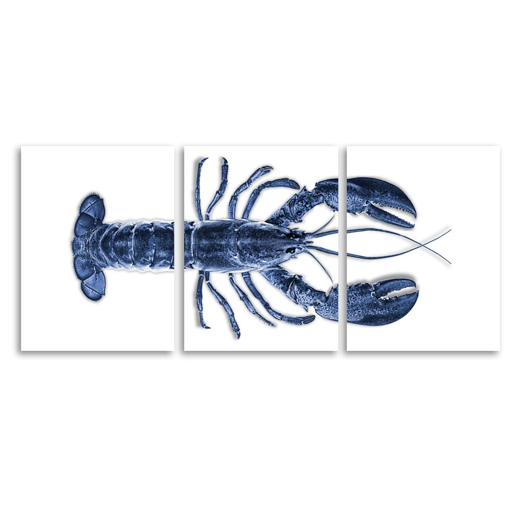 Maine Lobster (Blue)