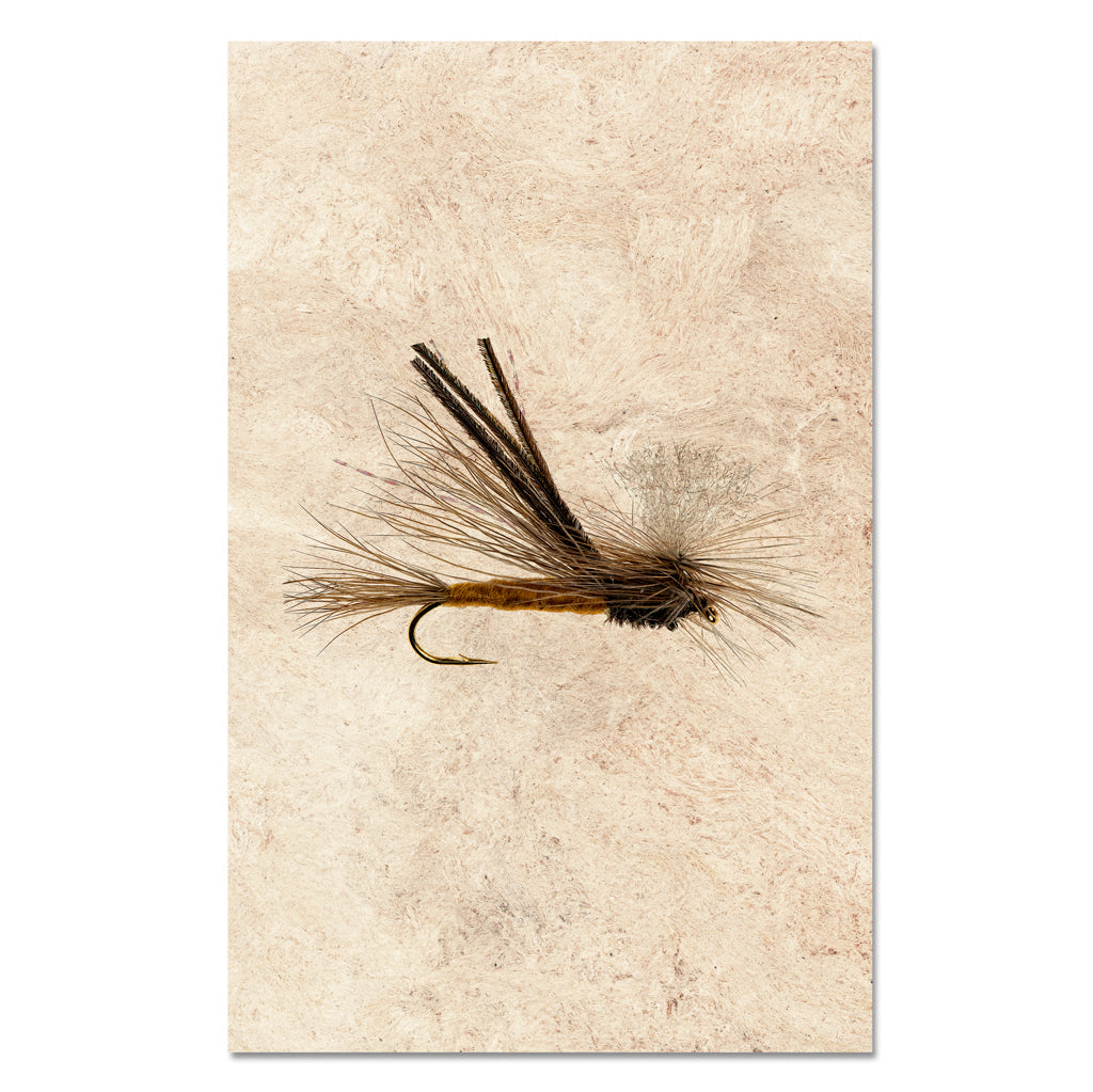 Bugmeister
