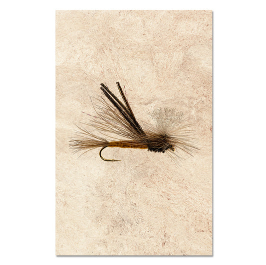 Bugmeister