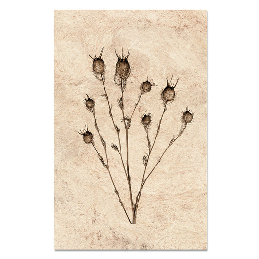Bulb Form