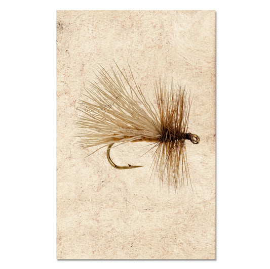 Caddis Variant