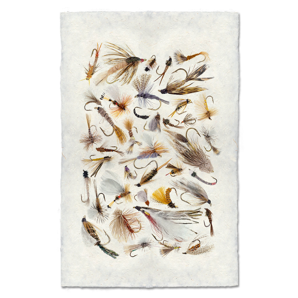 Collective Fishing Flies #2