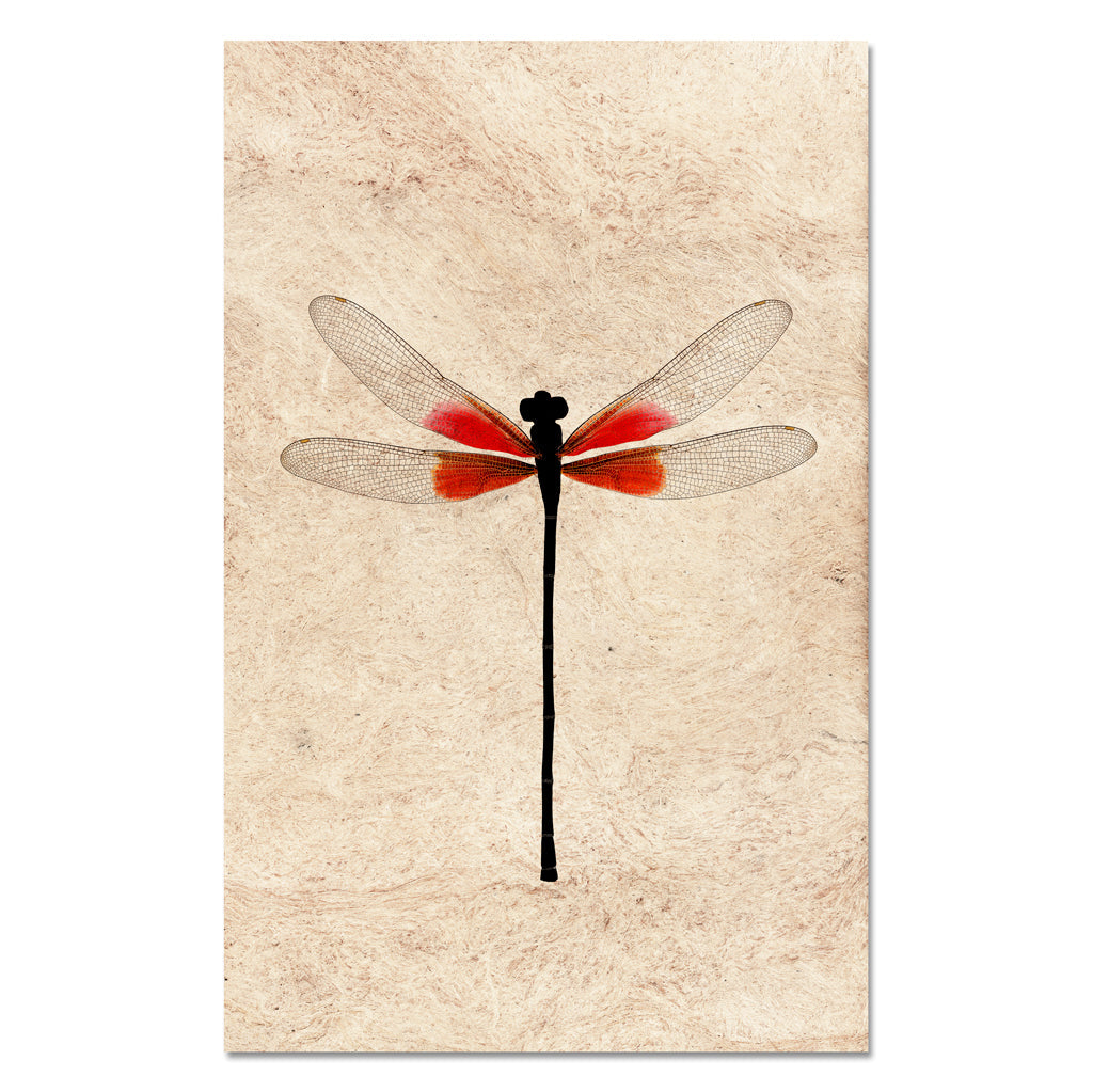 Ruby Damsel