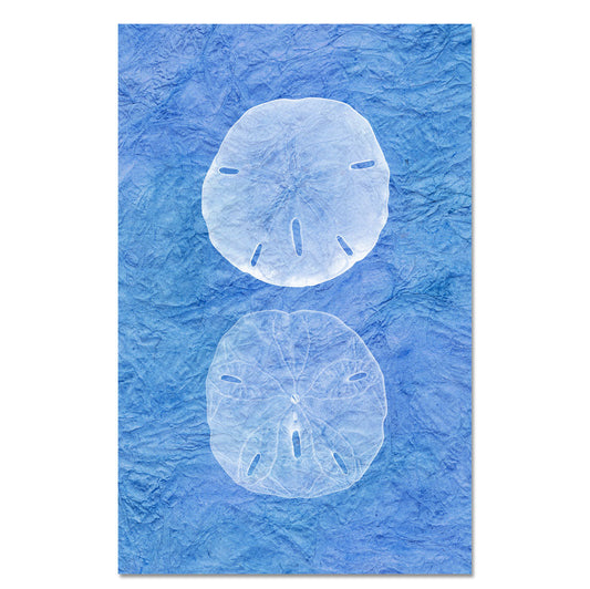 Double Sanddollar