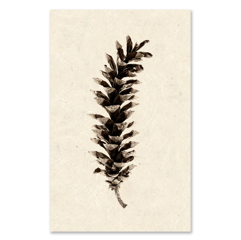 Eastern White Pine grand format