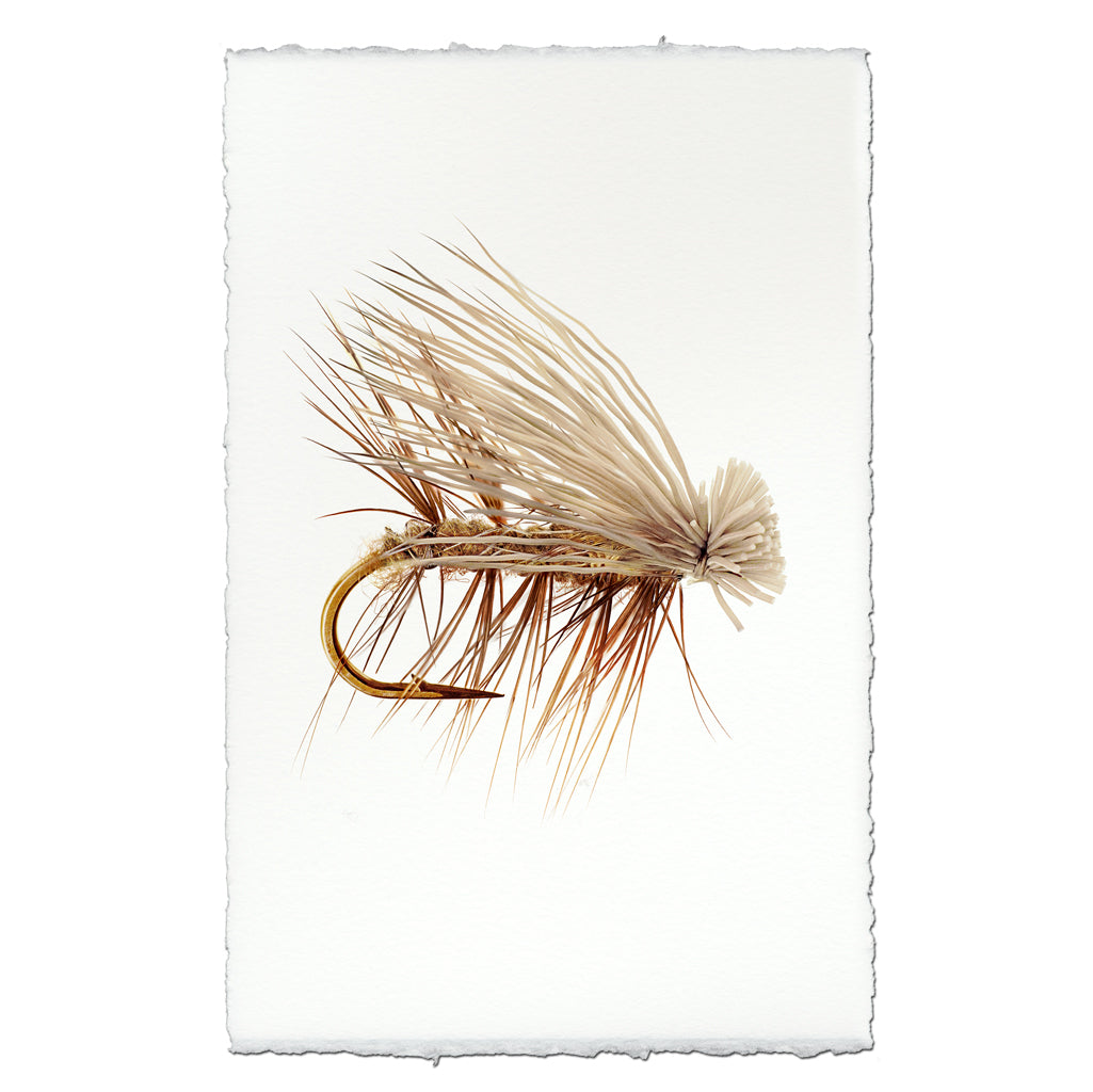Elk Hair Caddis