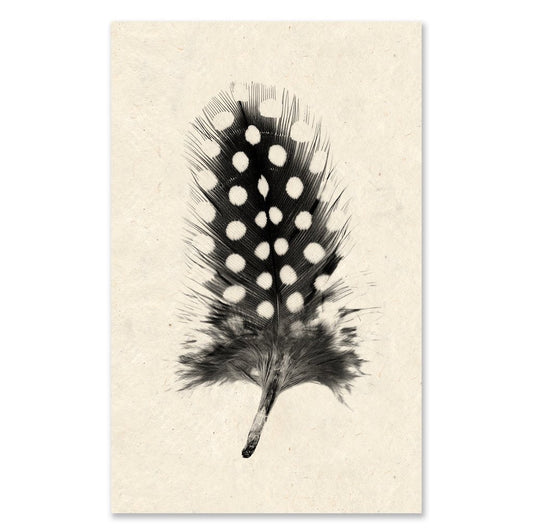 Feather #1 grand format