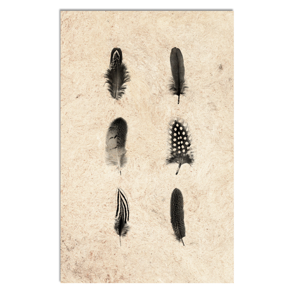 Feather Composite
