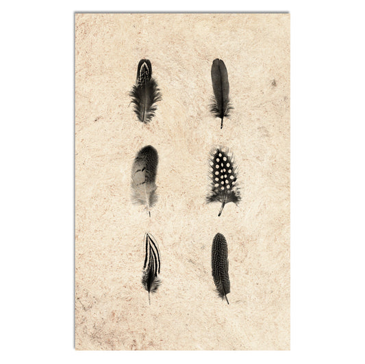 Feather Composite