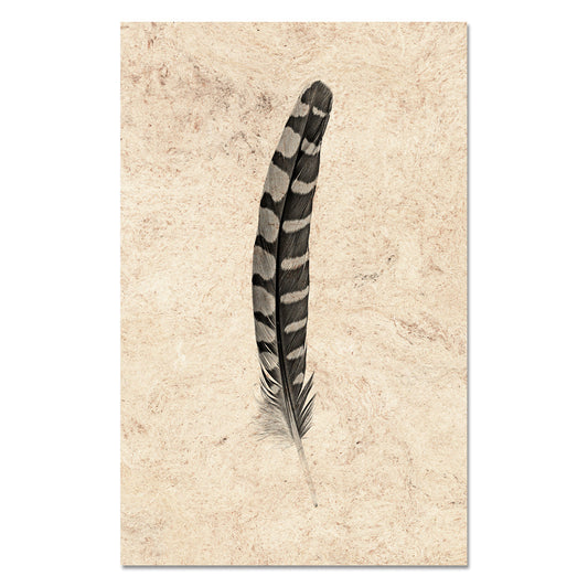 Feather Study #12 (Partridge Wing)
