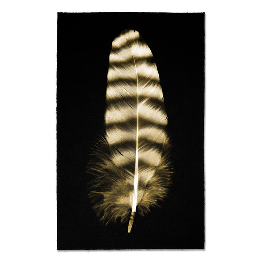 Feather #17