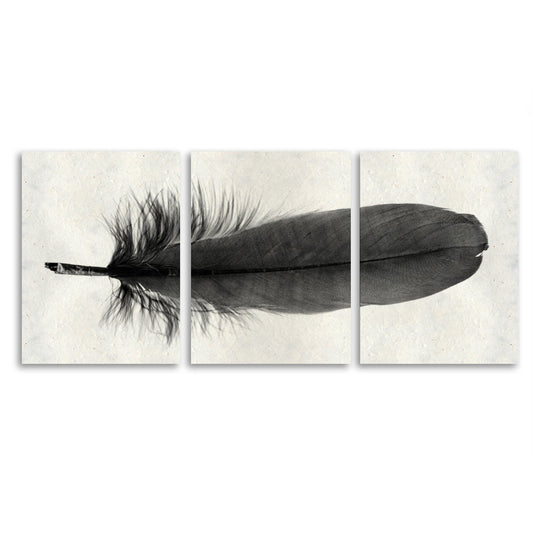 Feather #6 (Goose) Trilogy