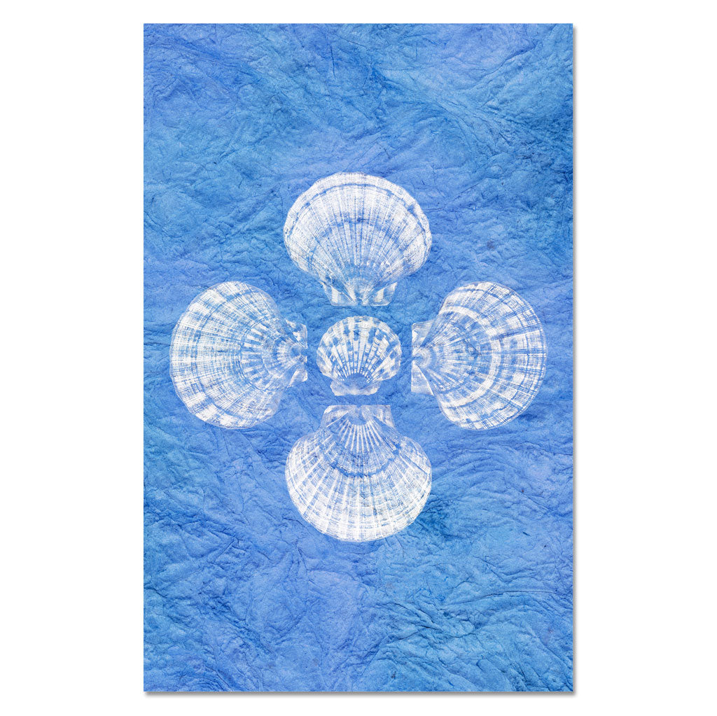 5 scallop