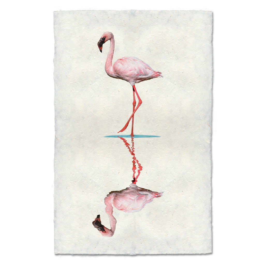 Flamingo #2