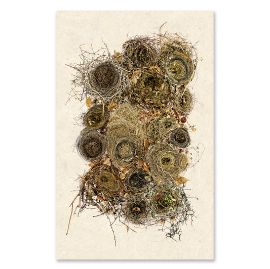 Collective Nests Grand Format (color)