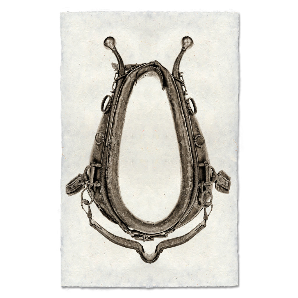 Horse Collar