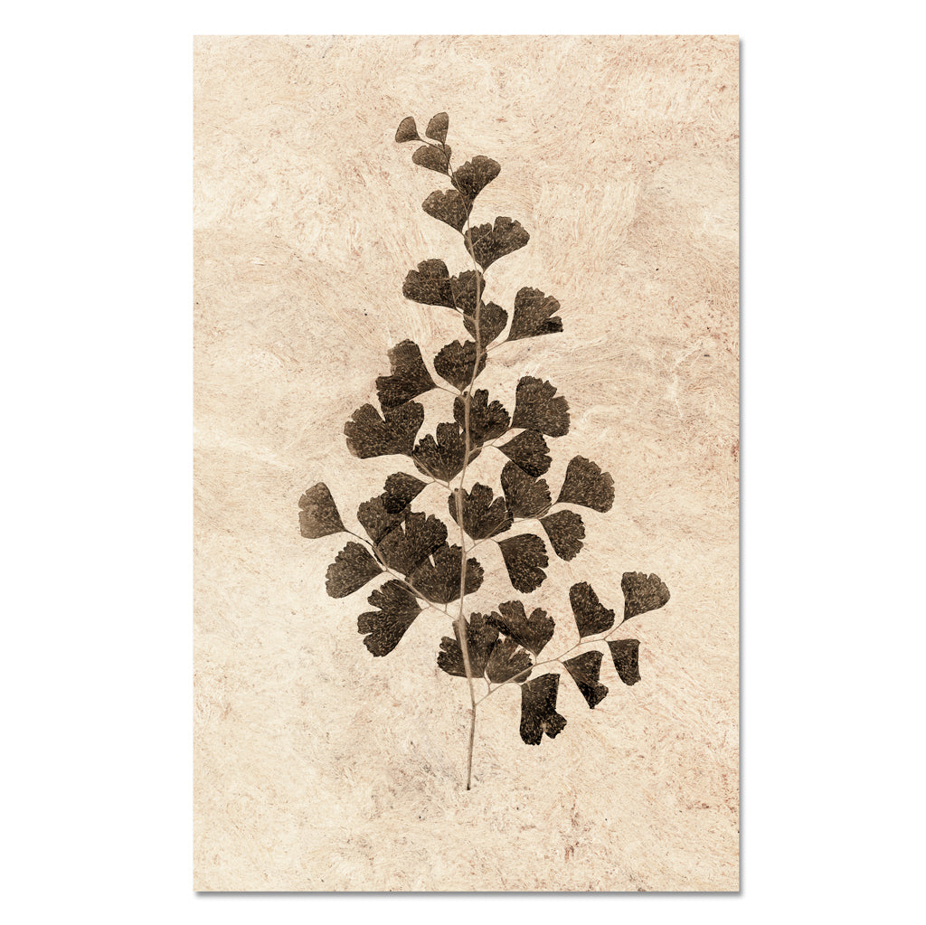 Leaf Study #1