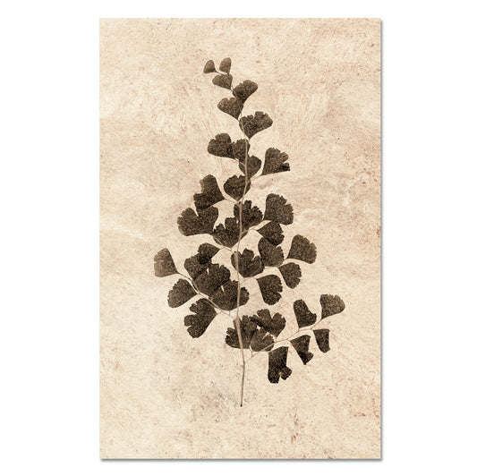 Leaf Study #1