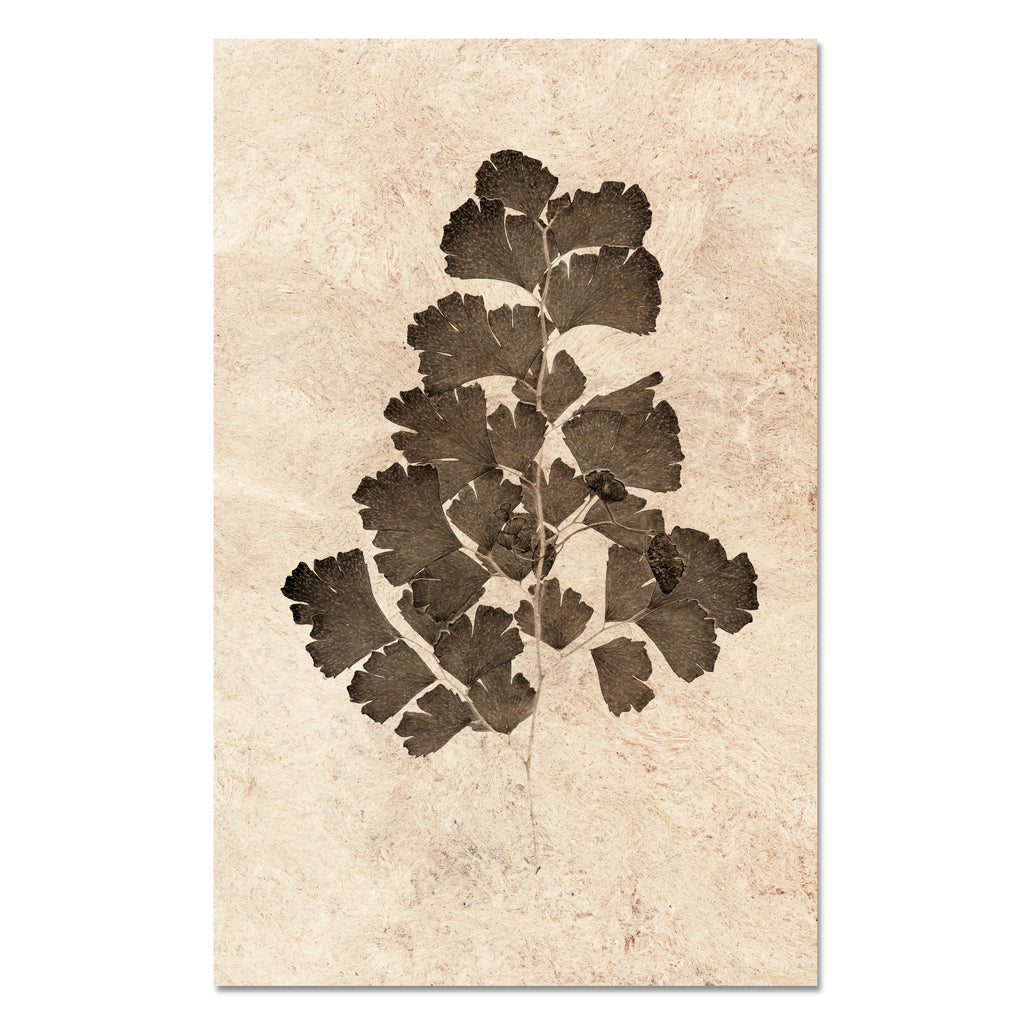 Leaf Study #2