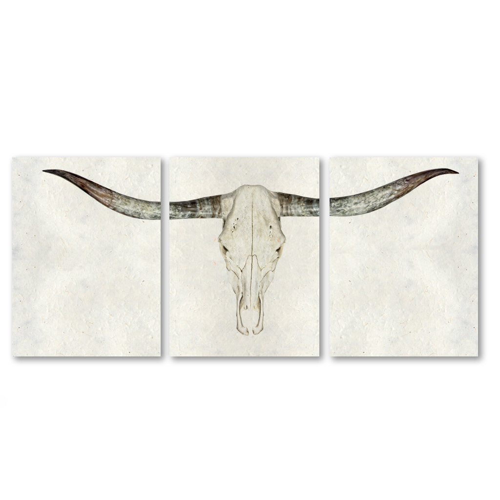 Longhorn Triptych