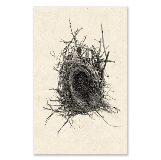 Nest #12 grand format