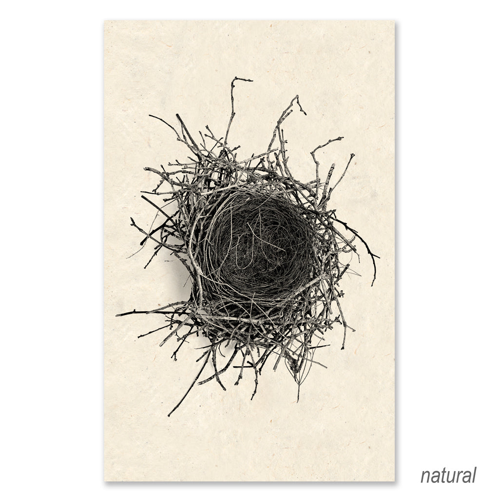 Nest #2 grand format