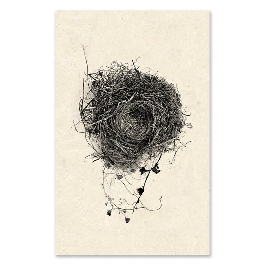 Nest #3 grand format