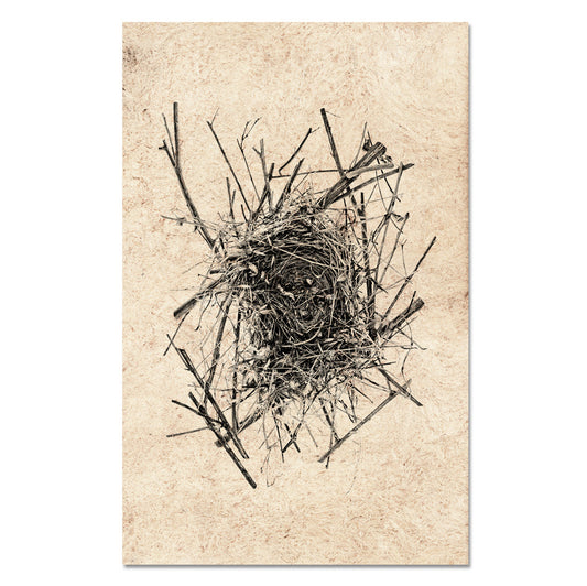 Nest Study #14