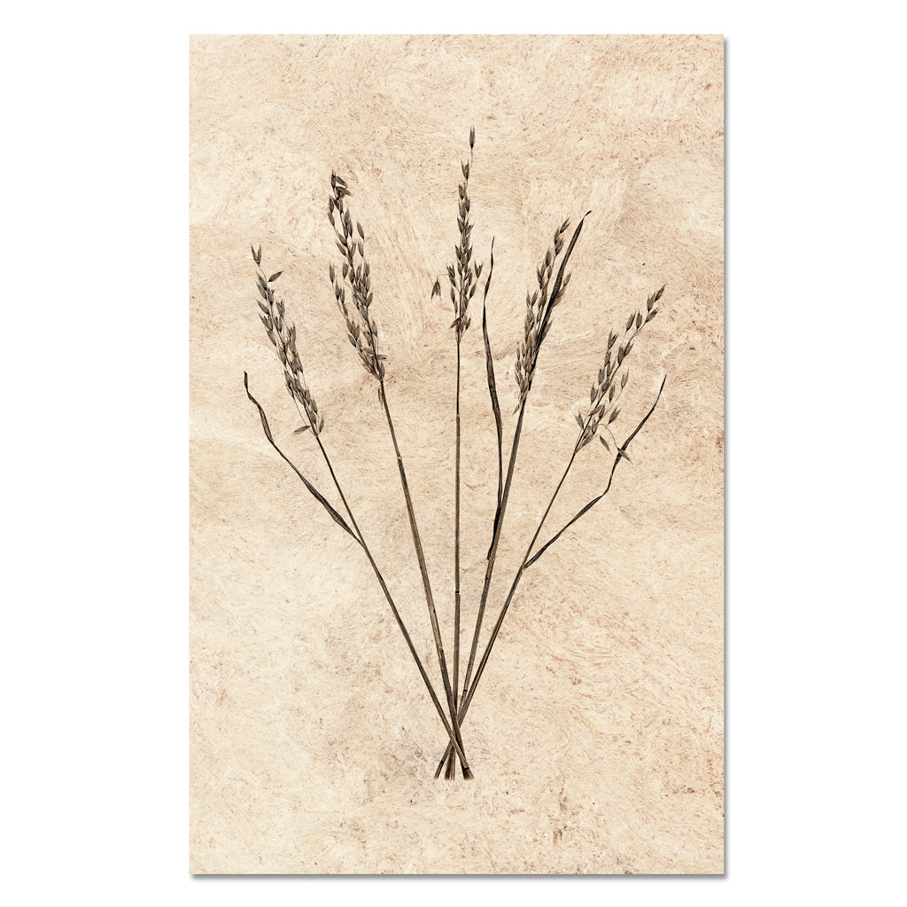 Oat Form