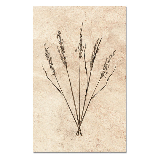 Oat Form