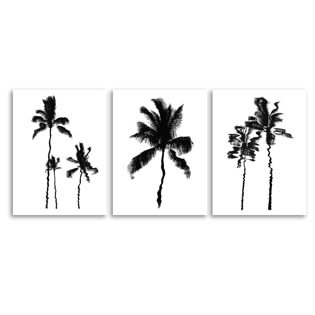 Palm Reflections Trilogy