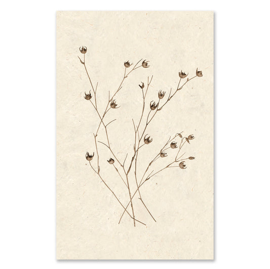 Petal Form grand format