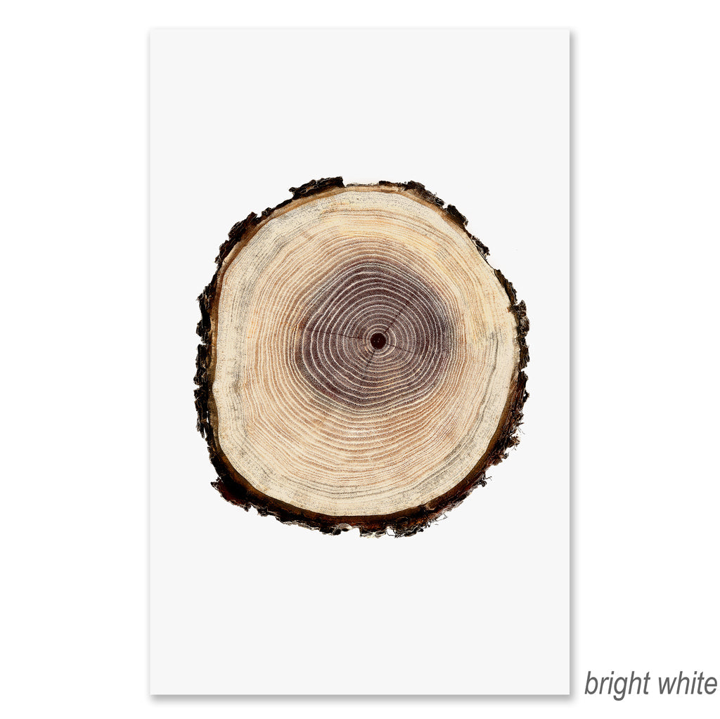 Poplar grand format
