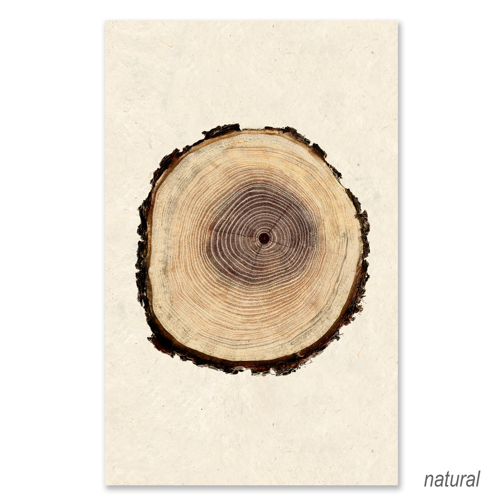 Poplar grand format