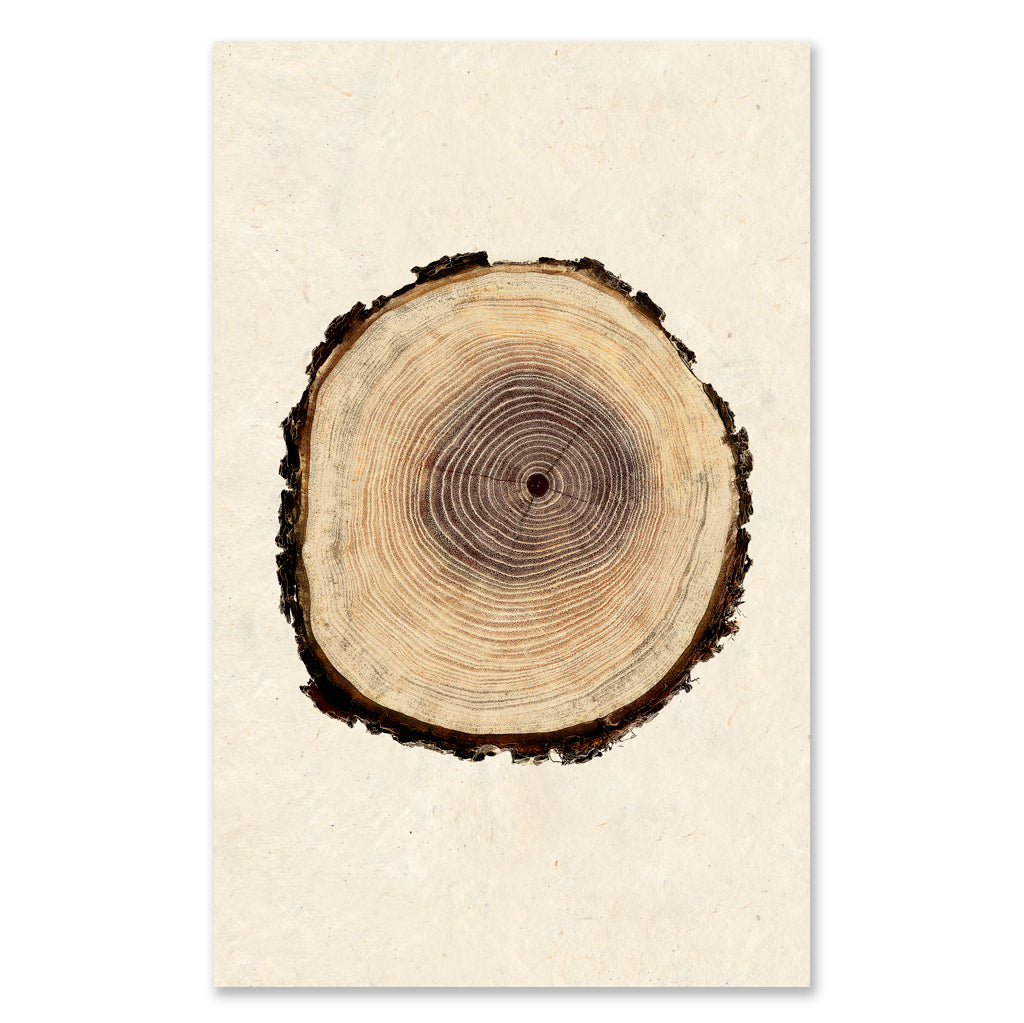 Poplar grand format