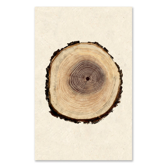 Poplar grand format