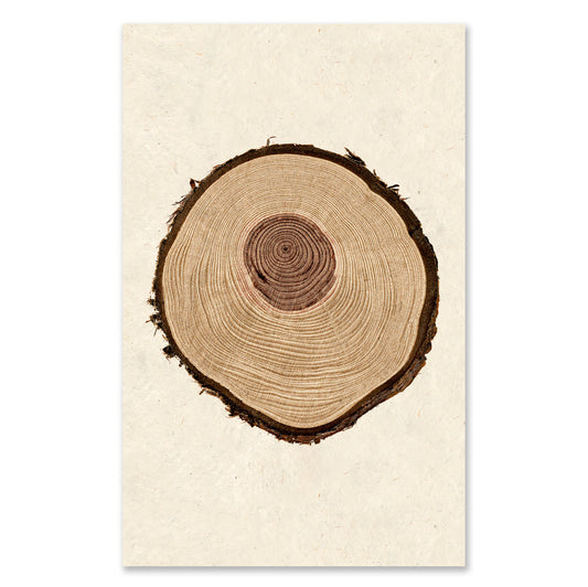 Redwood grand format