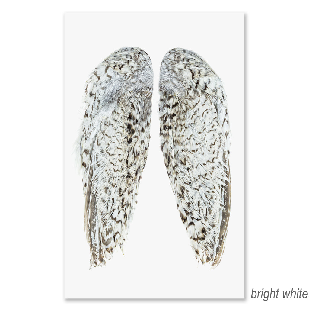 Snowflake Quail Wings grand format