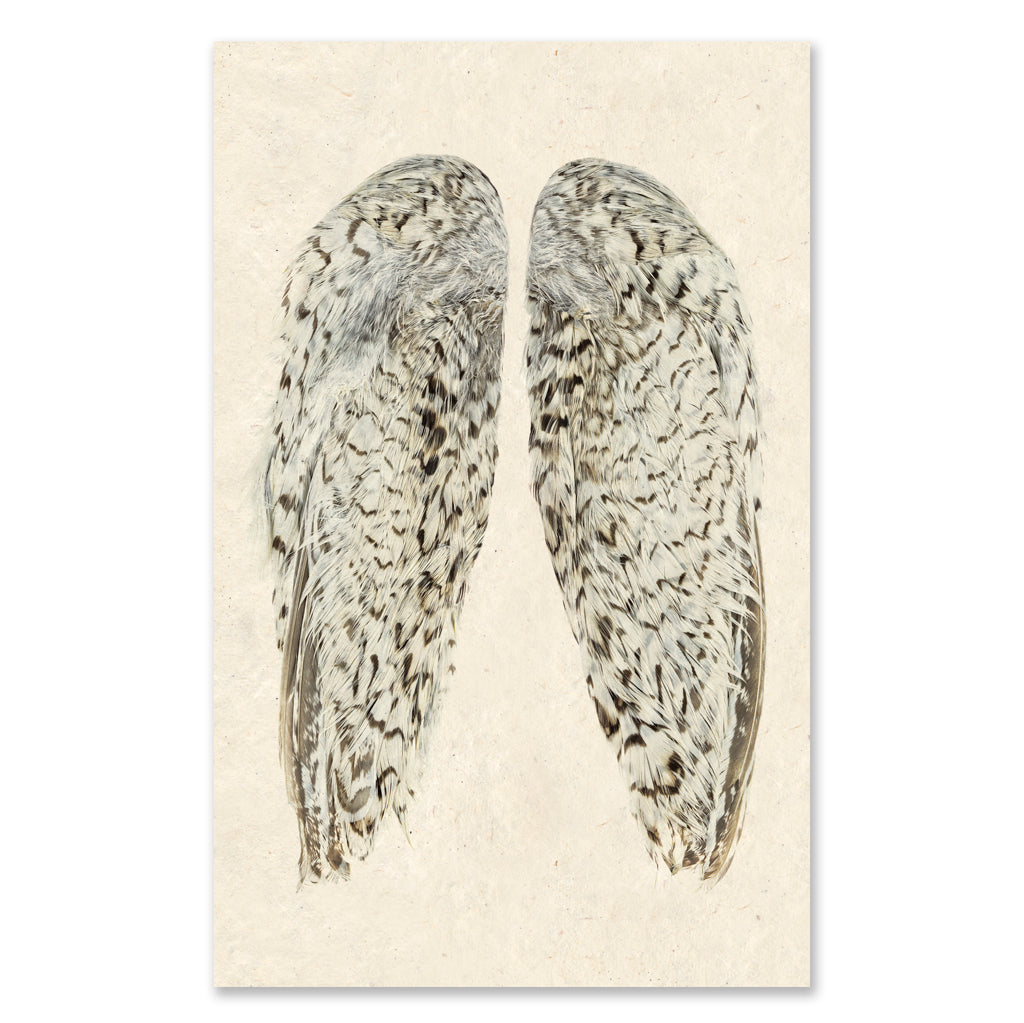 Snowflake Quail Wings grand format