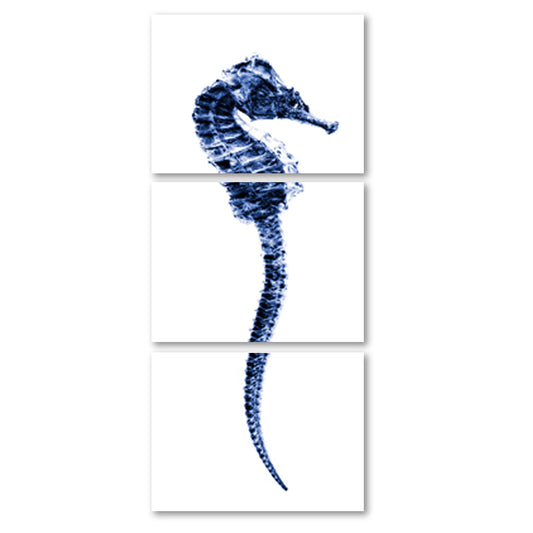 Sea Horse #1 trilogy