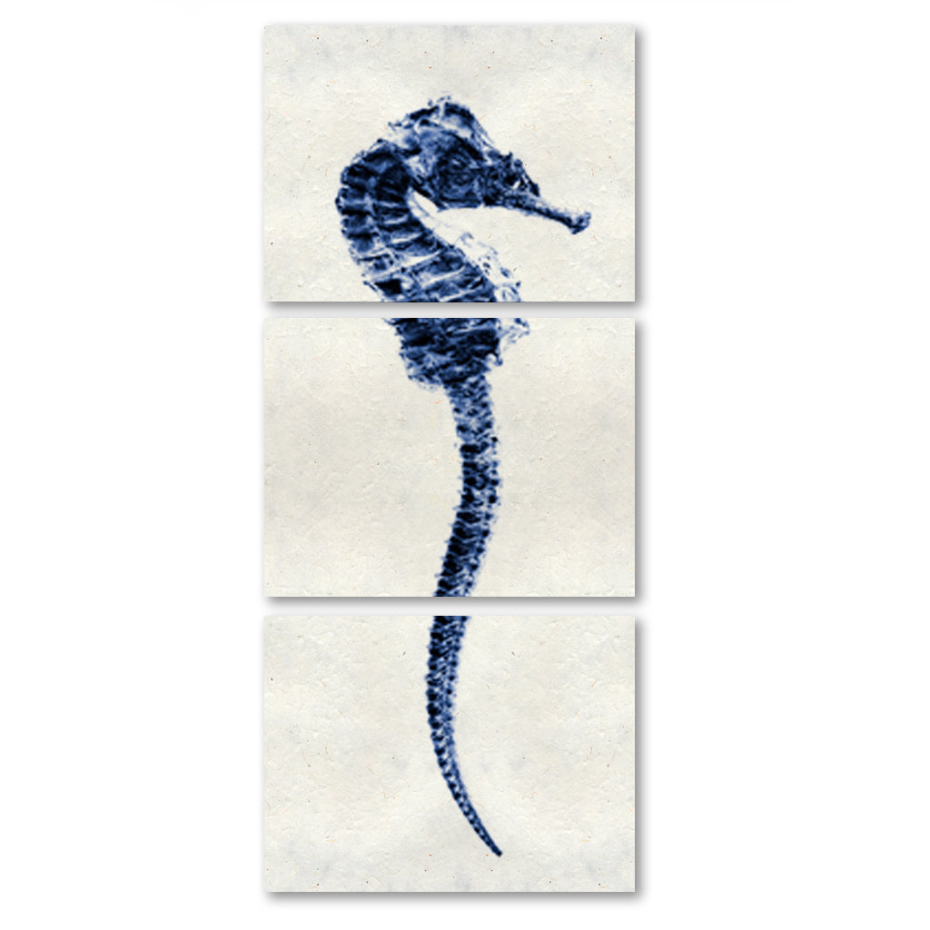 Sea Horse #1 trilogy